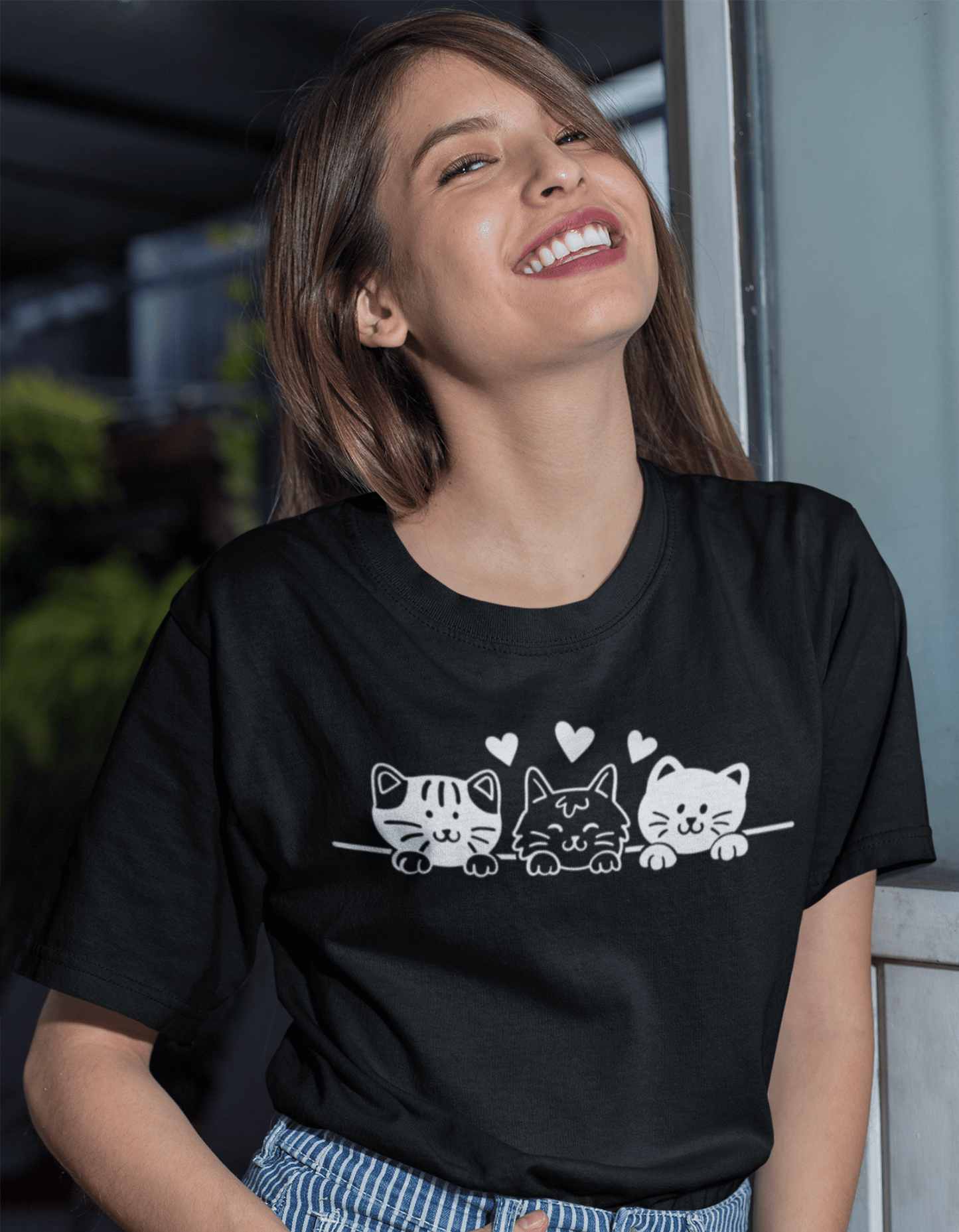 3 Kittens